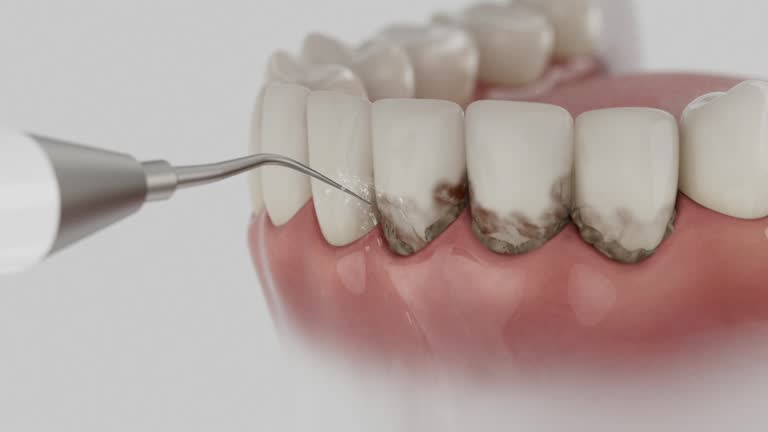 Reliable Dental contractor in Gateway, AK by Dentist Open Now